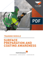 B3916 - Surface Preparation and Coatings Awareness Program - Full Course