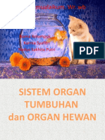 Bab 3 Sistem Organ Tumbuhan Dan Hewan