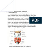 Anatomi, Histologi, Fisiologi, Dan Kelainan Kelenjar Tiroid