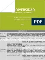 Cuadro Comparativo Biodiversidad - Rodriguez Saavedra