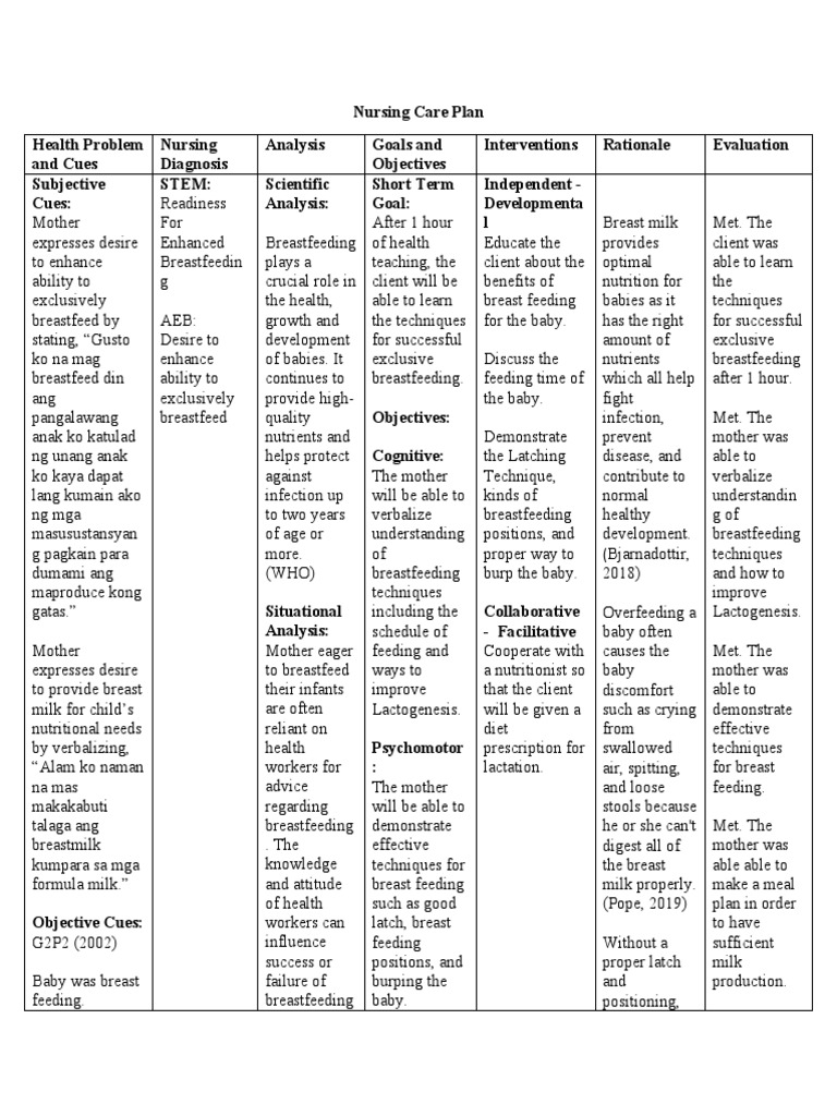 NCP Breastfeeding PDF Breastfeeding Breast Milk