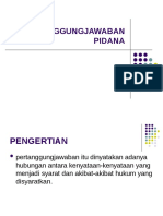 Pertanggungjawaban Pidana