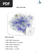 BGP LAB Guide v1.2