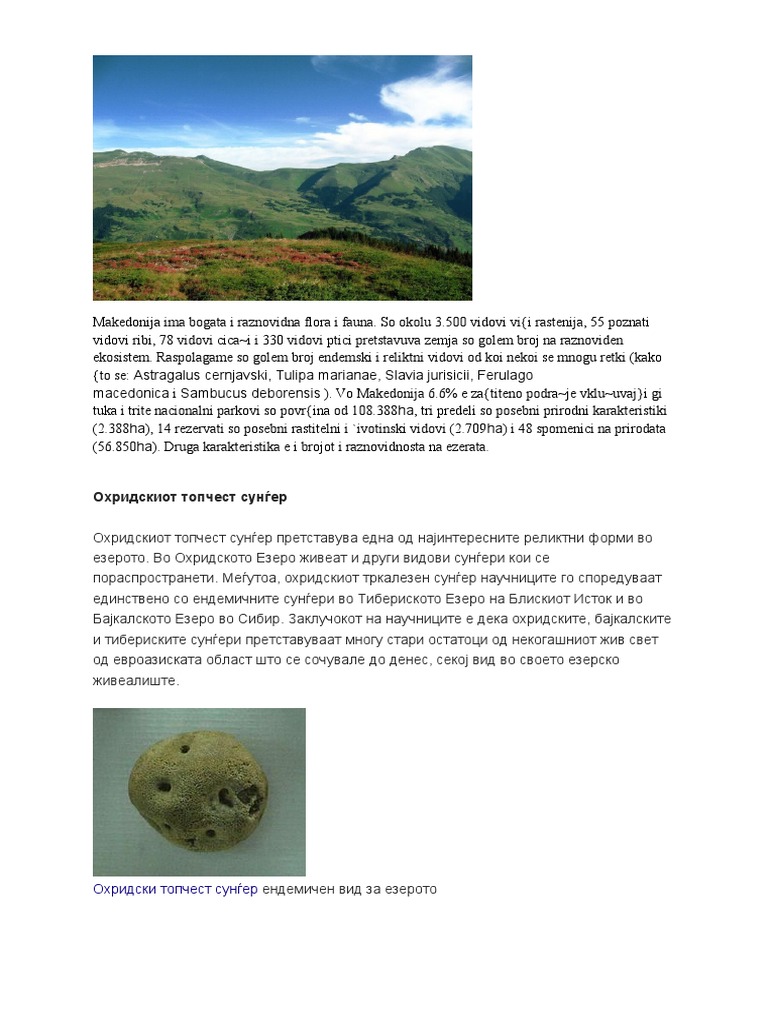 Makedonija Ima Bogata I Raznovidna Flora I Fauna | PDF