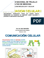Comunicacion Celular I