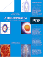 Bioelectrografia- Korotkov- Mejia 2006