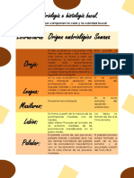 Estructuras de la cara y cavidad bucal