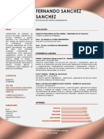 Curriculum Vitae