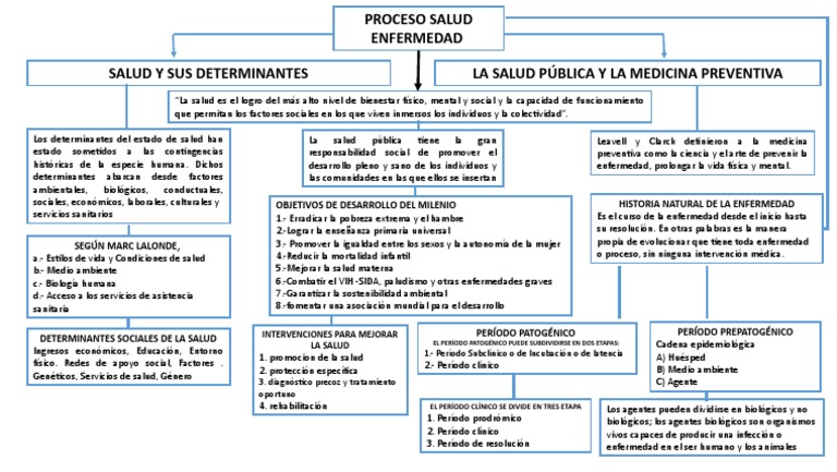 Mapa Conceptual Proceso de Salud | PDF | Ciencias de la vida | Salud ...