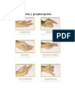 Mudras Propiocepción