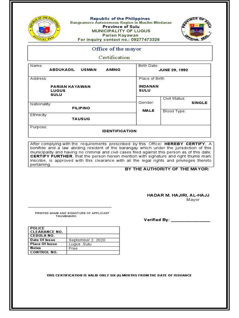 Mayor Clearance PDF Philippines Justice