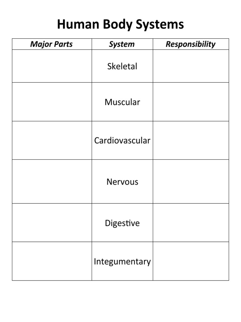 Human Body Systems | PDF