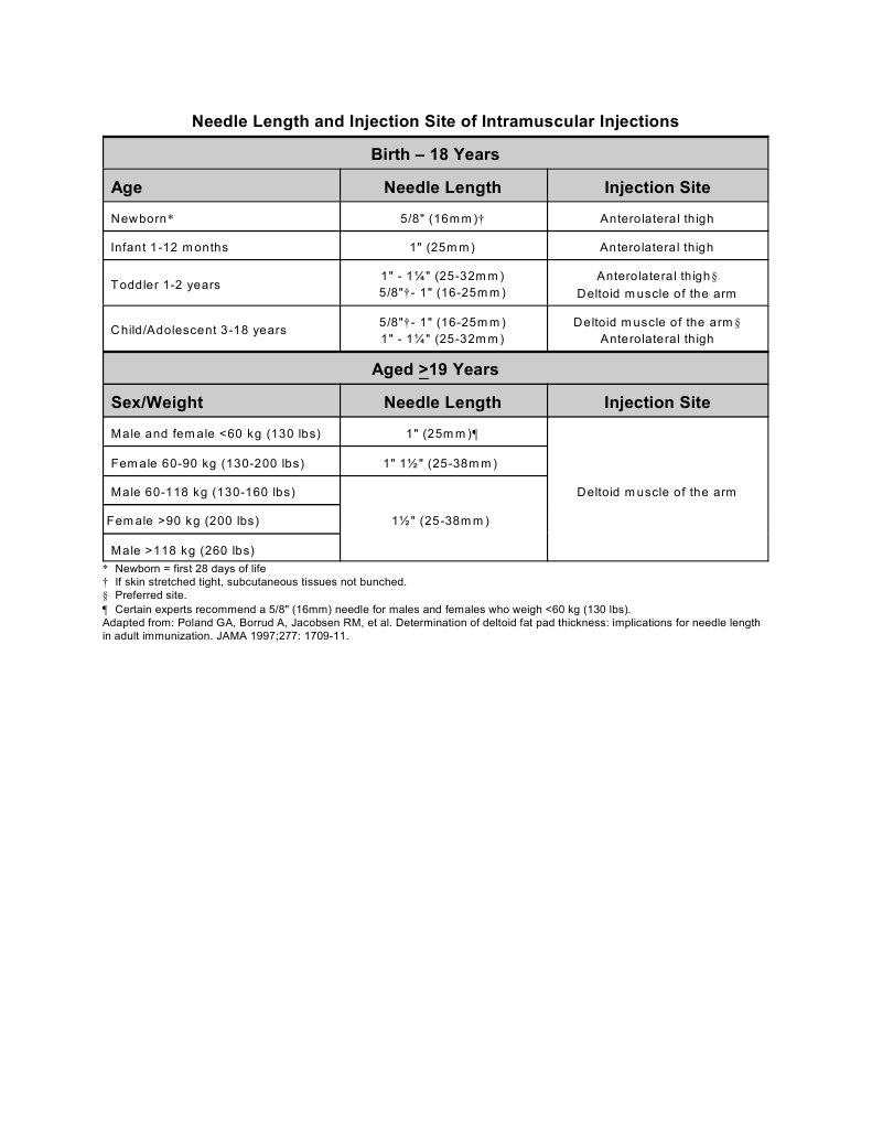 Intramuscular Injection Needle Guide | PDF