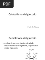 Catabolismo del glucosio