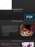 Granulocitele