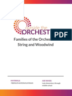 Orchestra - Familia Dos Instrumentos