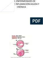 TEMA 3 Patologia