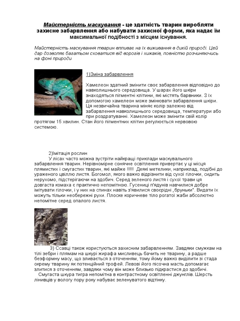 Маскування | PDF
