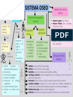 Mapa Conceptual SISTEMA ÓSEO