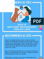 Adestramento de Cães - Fazer As "Necessidades" No Lugar Correto