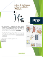 11-28-2019 114803 Am BASES BIOLÓGICAS DE LAS PRAXIAS