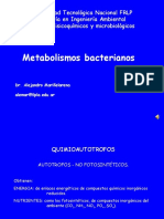 2b. Metabolismos Quimioautotrofos
