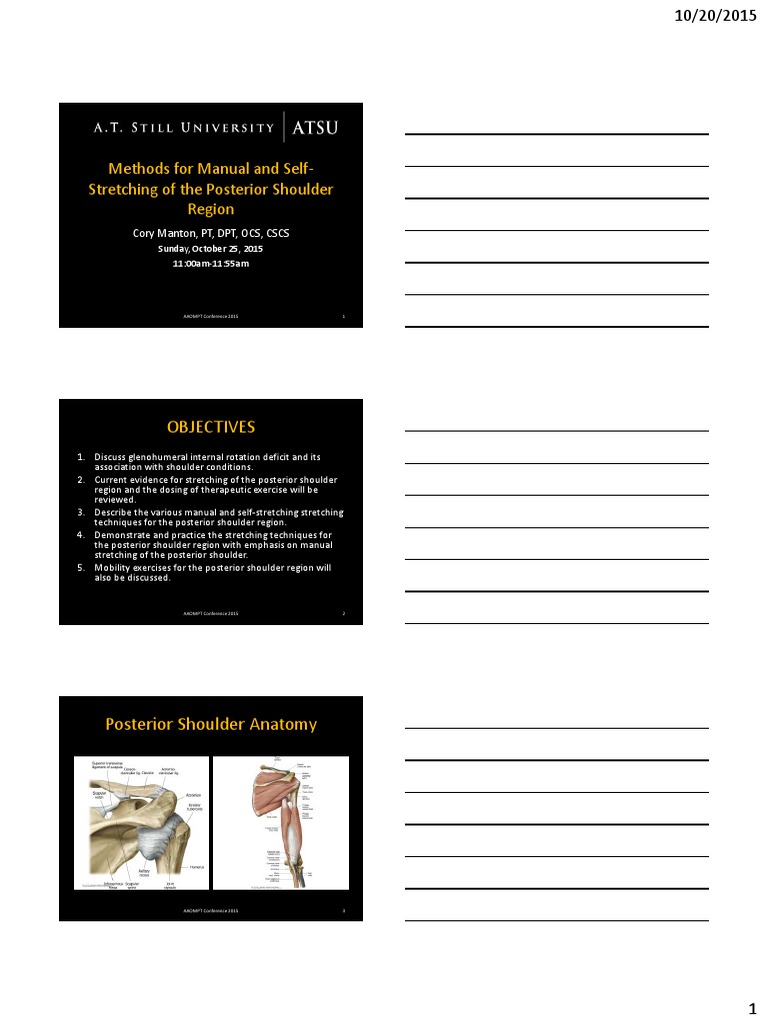 Posterior Shoulder Stretching Techniques | PDF | Anatomical Terms Of ...
