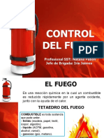 Control Del Fuego