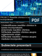 PROIECT-Reactiile Chimice in Lumea Inconjuratoare