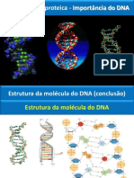 3- Estrutura Do DNA