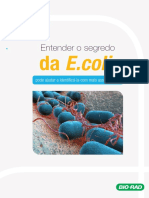 Entendendo a patogenicidade da E.coli: sorotipos, mecanismos de ação e riscos à saúde