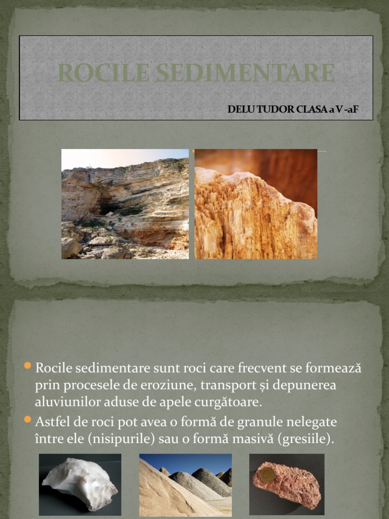 Rocile Sedimentare | PDF