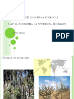 Biomas e zonas climáticas