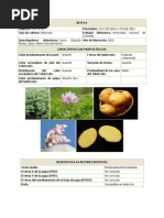 Download Varied a Des de Papa Cultivadas en Colombia by JosefthCristopher SN53697984 doc pdf