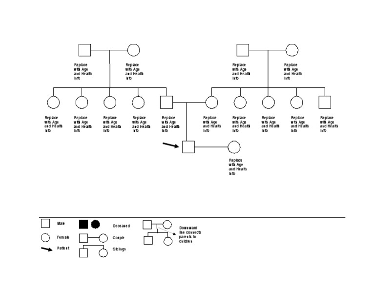 Genogram Template for Health Info | PDF