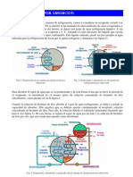 Sistema Frigorífico Absorcion