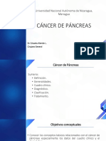 Cáncer páncreas: diagnóstico y tratamiento
