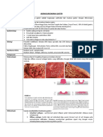 Adenocarcinoma Gaster