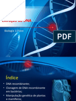 Apresentação DNA Biologia