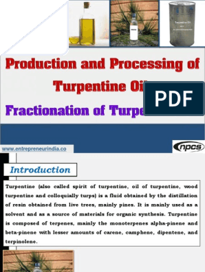 Production and Processing of Turpentine Oil
