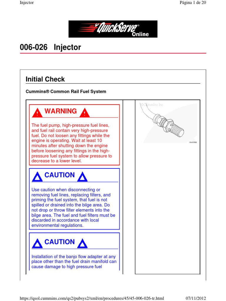 006026 Injector Initial Check PDF Fuel Injection Leak