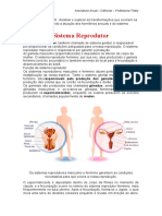 Sistema Reprodutor