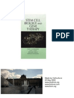 Stem Cell Biology and Gene Therapy by Peter J. Quesenberry, Gary S. Stein, Bernard G. Forget, Sherman M. Weissman