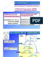 Via Pentosas Fosfato