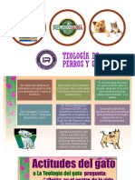 Teología de Perros y Gatos I-1