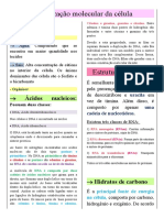 Estrutura molecular e composição química da célula