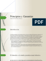 3.- Principios y Garantías