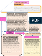 II Caso Clinico