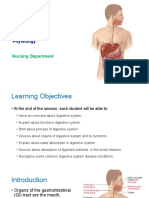 Digestive System