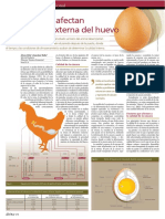 Factores Que Afectan A La Calidad Del Huevo